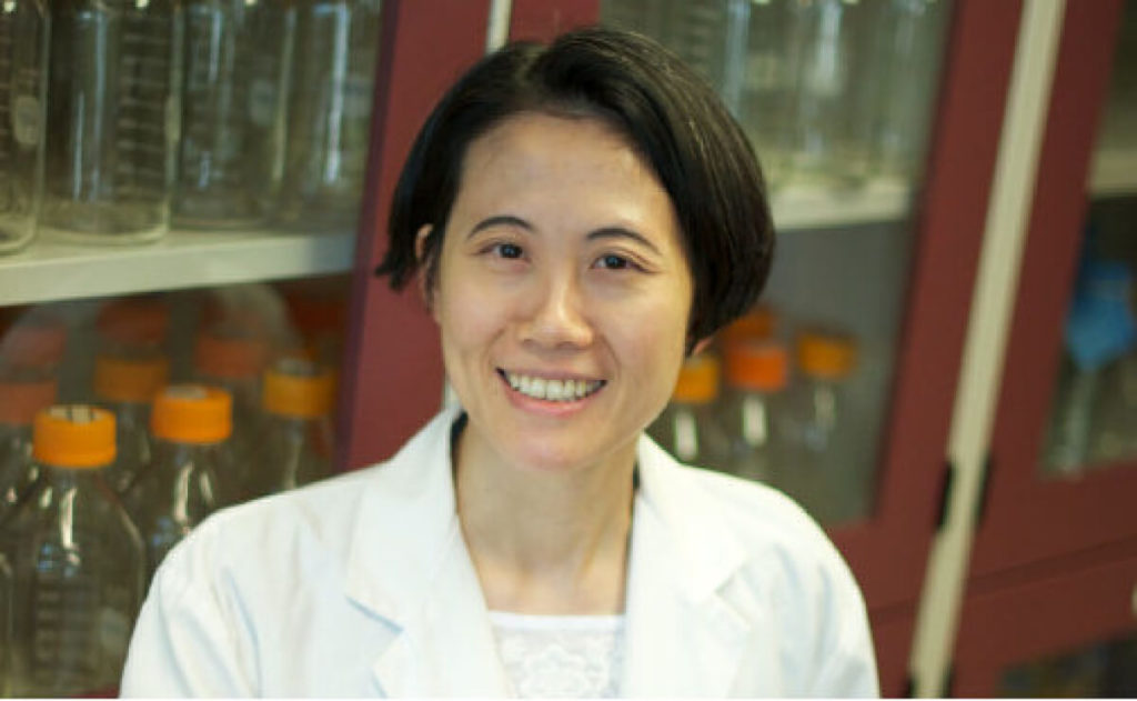 Al Regina Elena interviene Lillian Siu, esperto mondiale nello sviluppo ed applicazione clinica di nuove molecole farmacologiche.