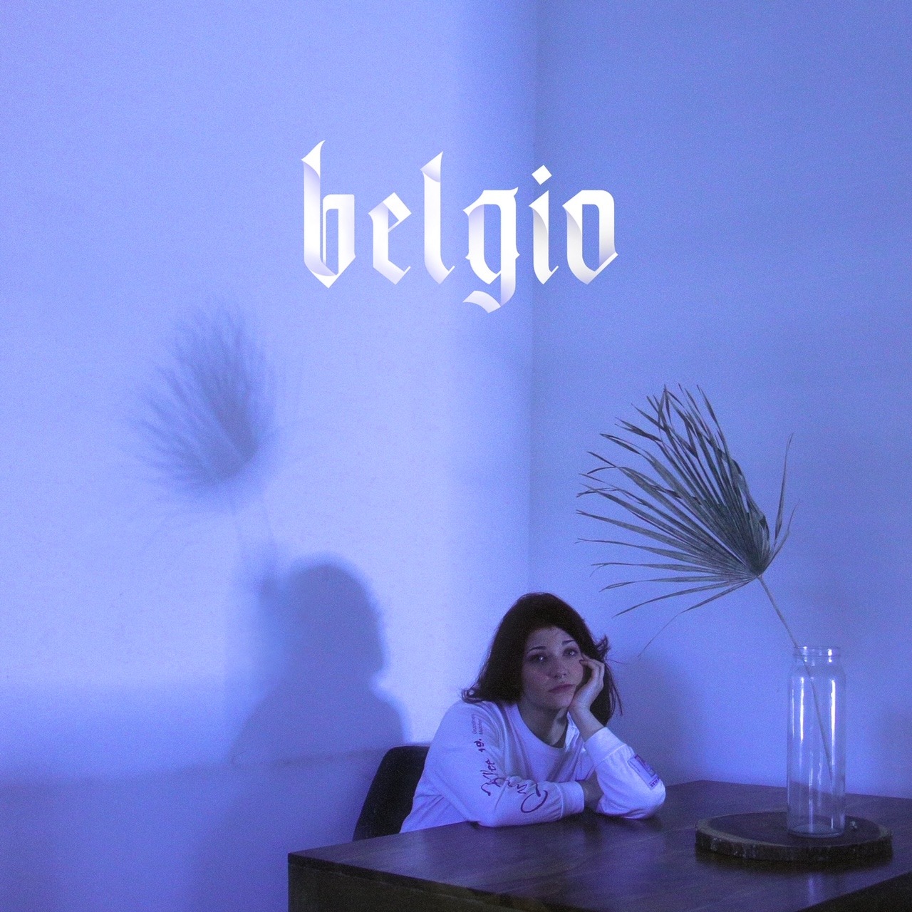 Disponibile in rotazione radiofonica “belgio” (Cantieri Sonori), il nuovo singolo di ASHES, disponibile su tutte le piattaforme di streaming