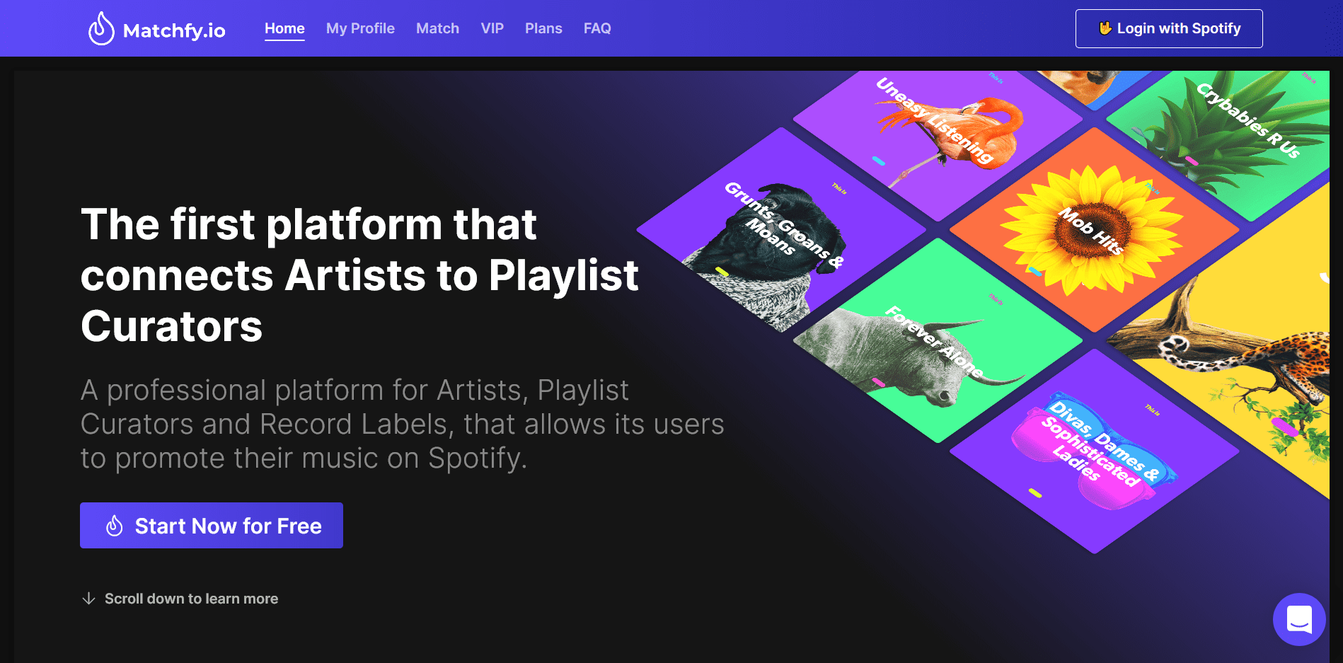 Lanciata sul mercato tre anni fa dai fratelli Paolo e Nicolò Mantini, fondatori di Clockbeats SRL, Matchfy è la prima piattaforma professionale che mette in contatto artisti e curatori di playlist indipendenti su Spotify.